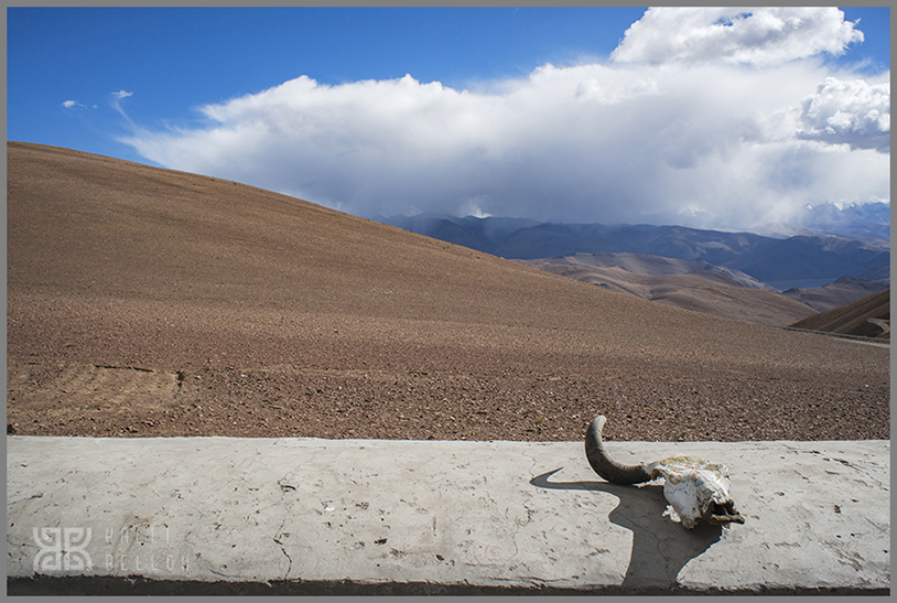 � Kalli Bellou / www.kallibellou.com